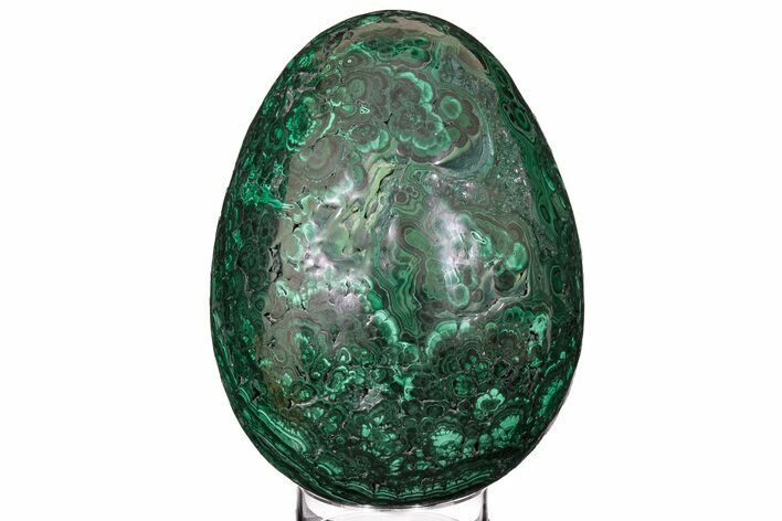 Tall, Giant Flowery Polished Malachite Egg With Stand - lbs #192023